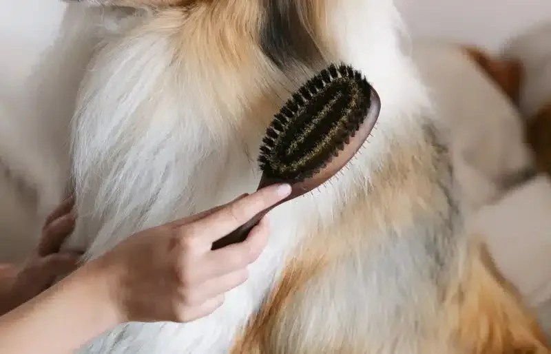The Fluff Ritual